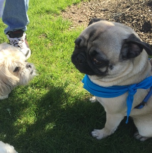 Fundraising Page: Gloria Hoffer